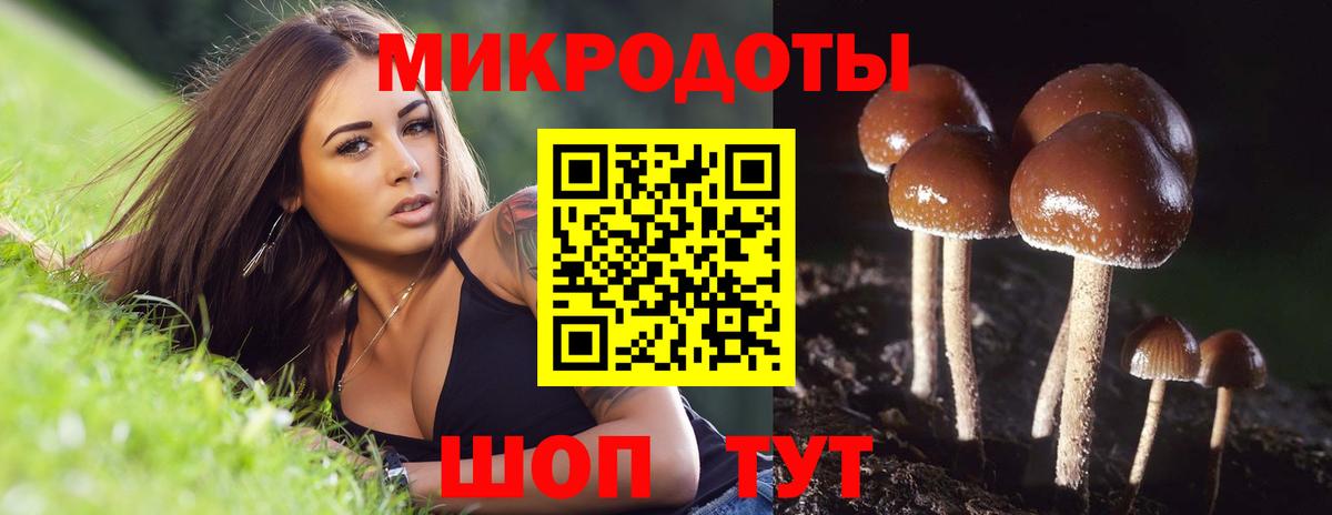 Псилоцибиновые грибы прущие грибы Минусинск